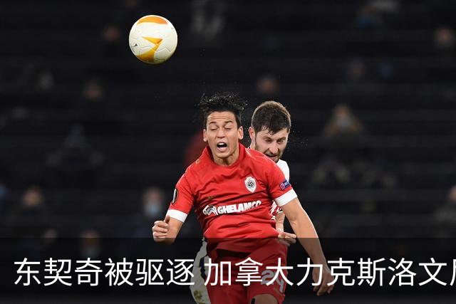 东契奇被驱逐 加拿大力克斯洛文尼亚晋级四强