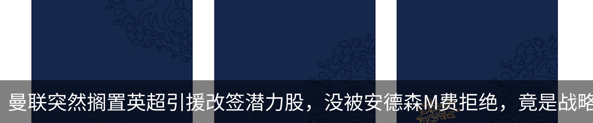 新闻动态