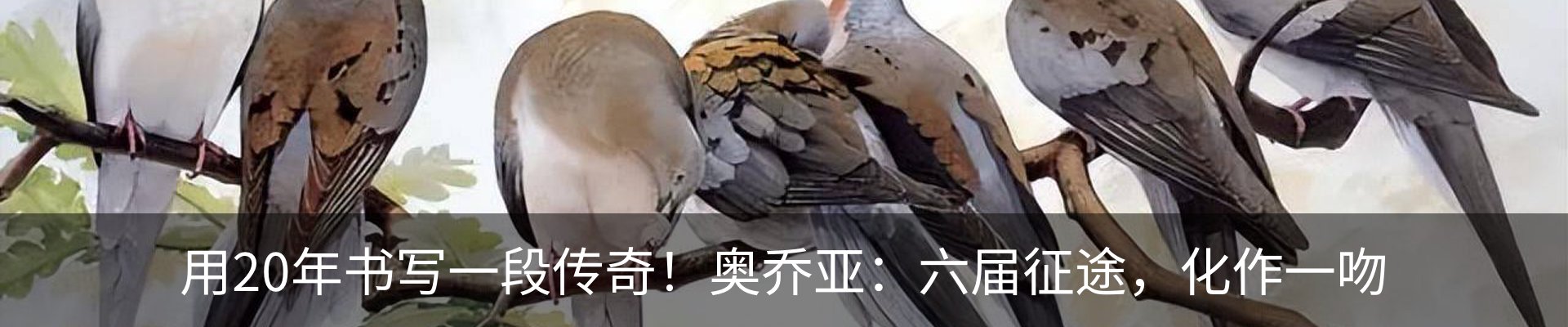 新闻动态